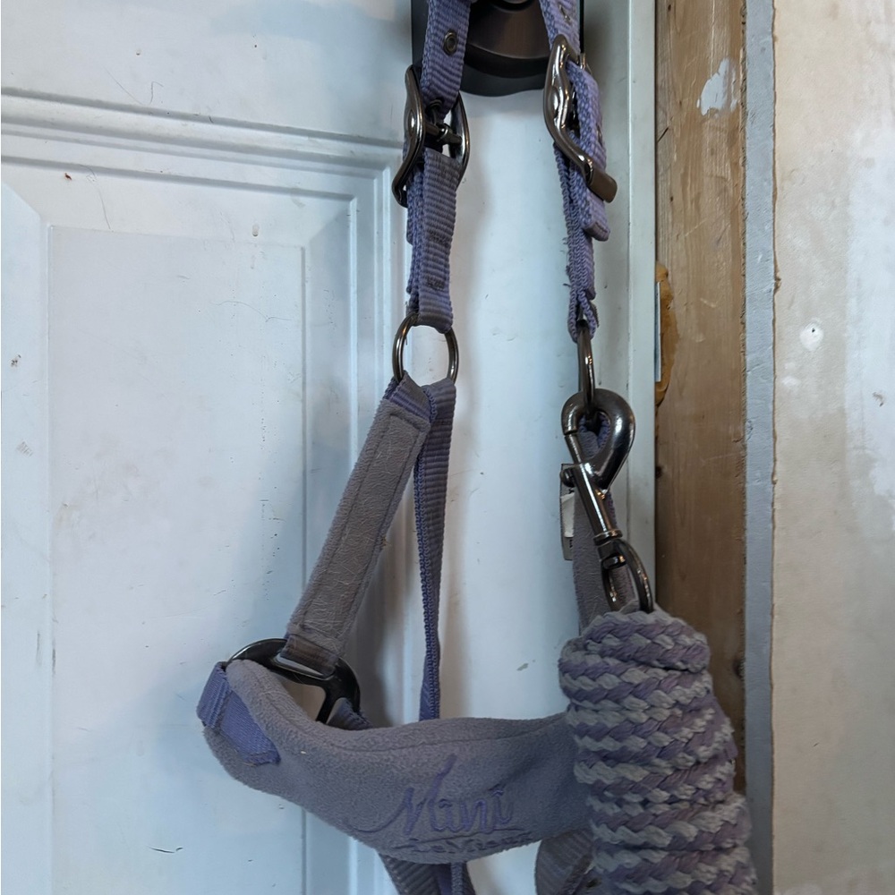 LeMieux Bluebell Halter